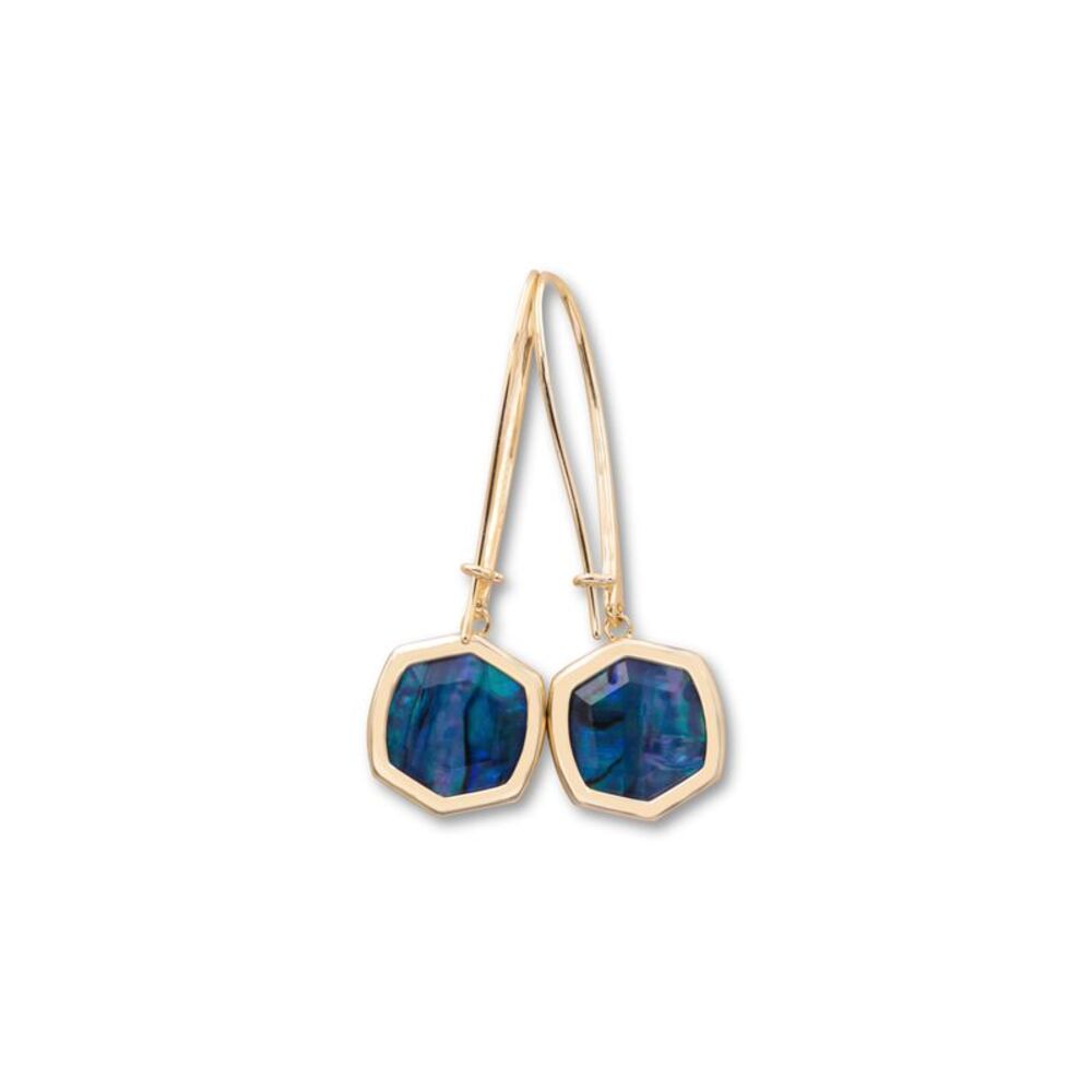 Kendra Scott-Davis Gold Metal Drop Earrings In Navy Abalone